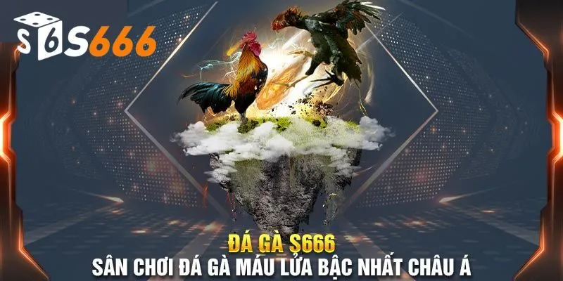 Hướng dẫn đá gà S666