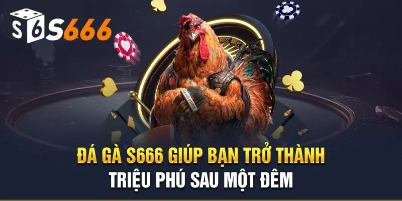 Tổng hợp kèo đá gà