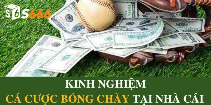 Những mẹo chơi bóng chày dành cho tân thủ